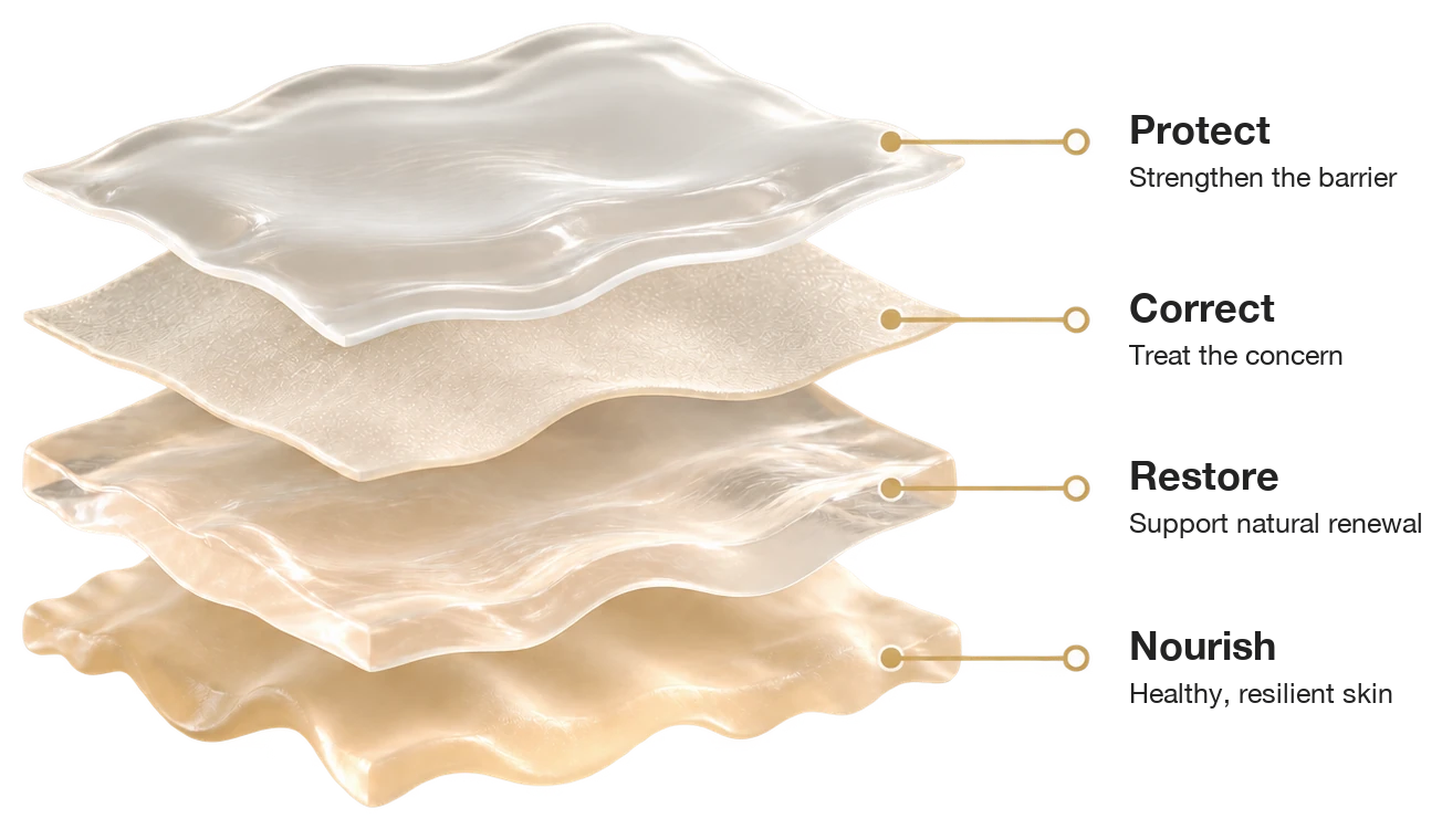 Illustration of four skin layers labelled Protect, Correct, Restore and Nourish
